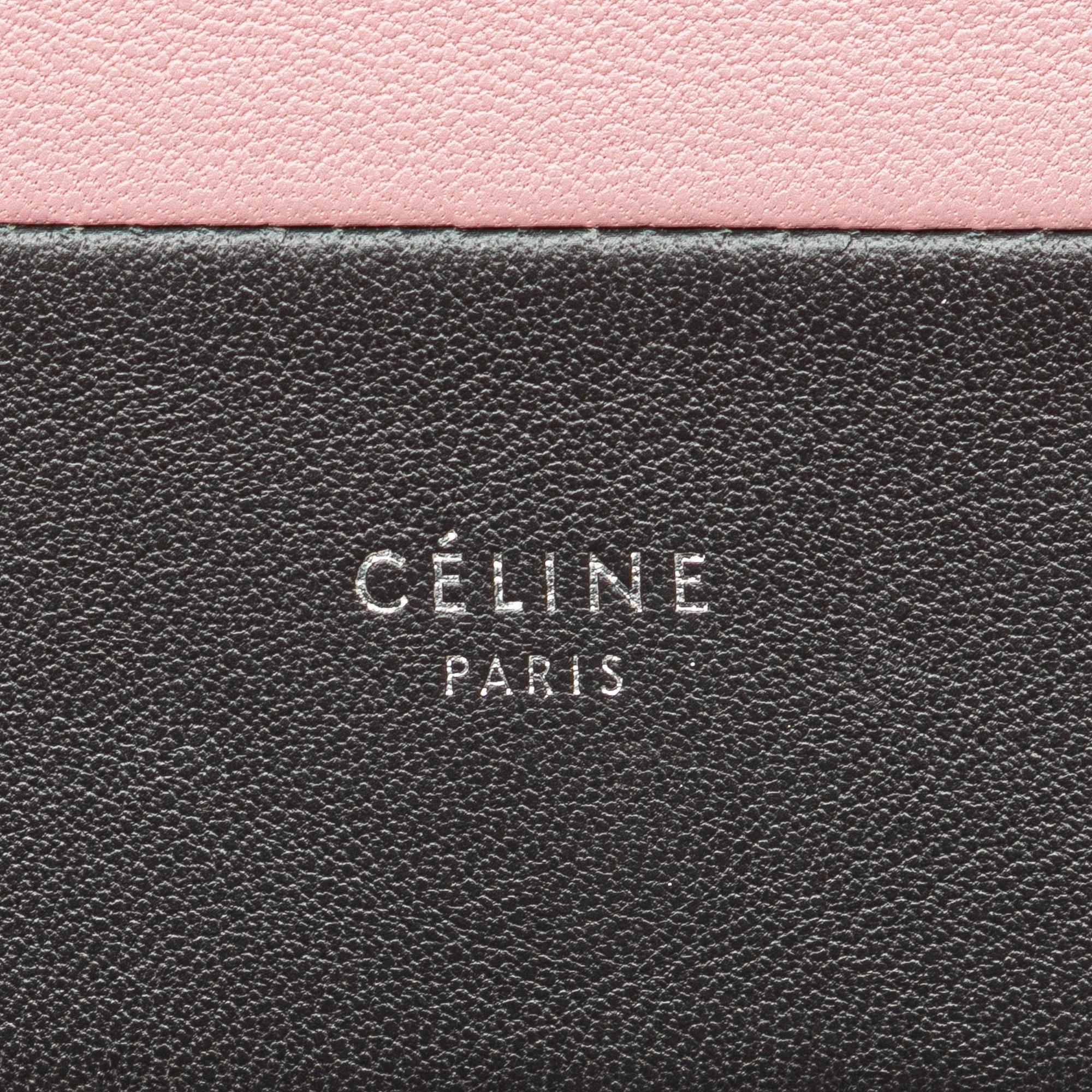Celine Leather Frame Wallet on Chain
