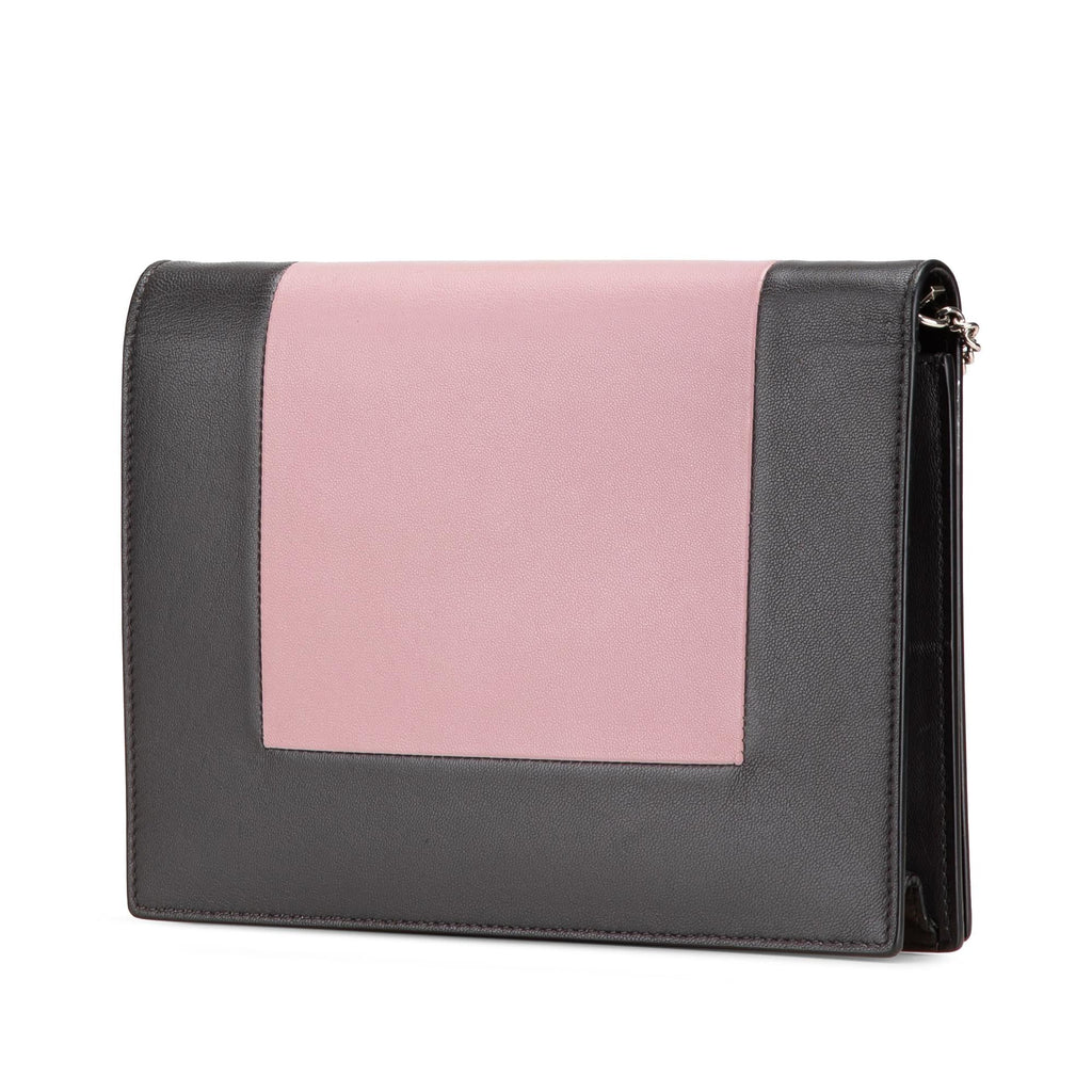 Celine Leather Frame Wallet on Chain