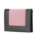 Celine Leather Frame Wallet on Chain