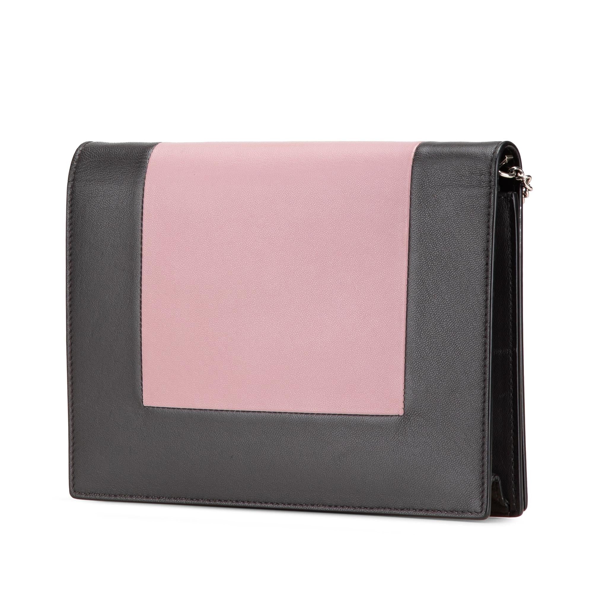 Celine Leather Frame Wallet on Chain