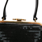Celine Leather Sequin Triomphe Minaudiere