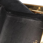 Celine Leather Sequin Triomphe Minaudiere