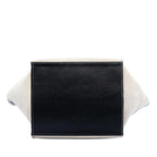 Celine Medium Canvas Big Satchel
