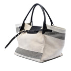Celine Medium Canvas Big Satchel
