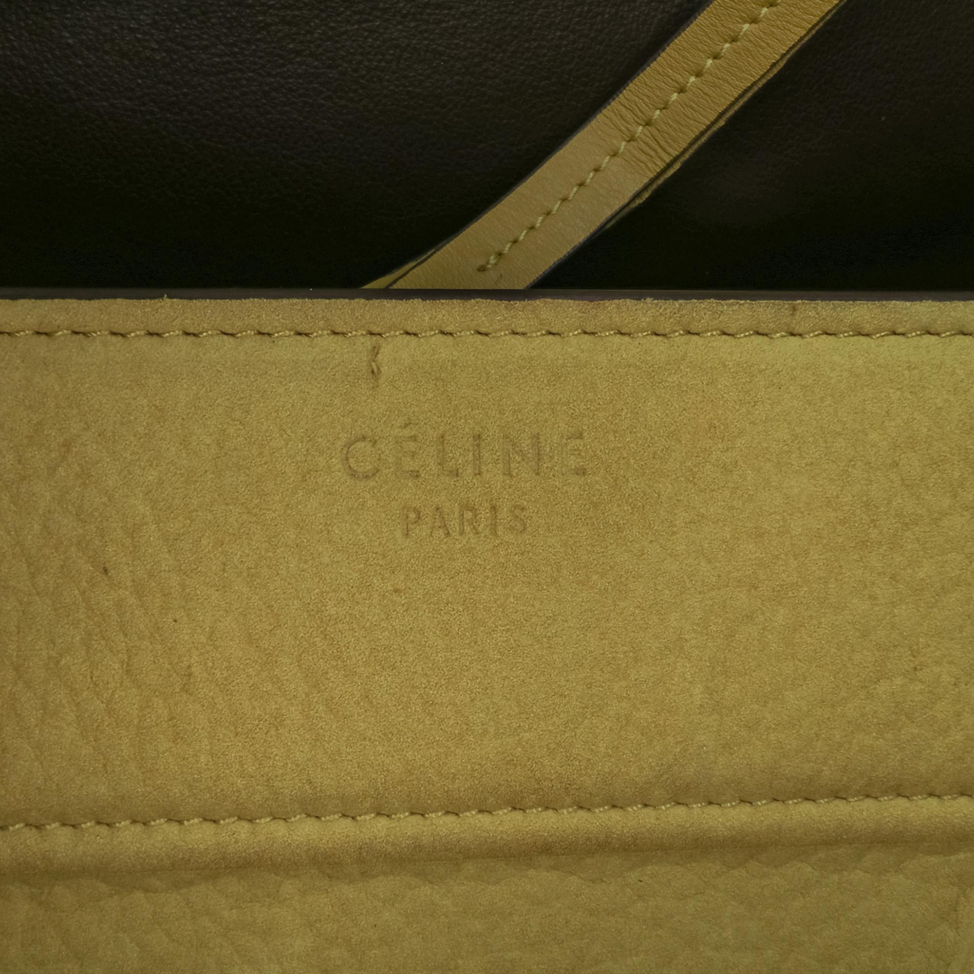 Celine Medium Leather Phantom Luggage Tote