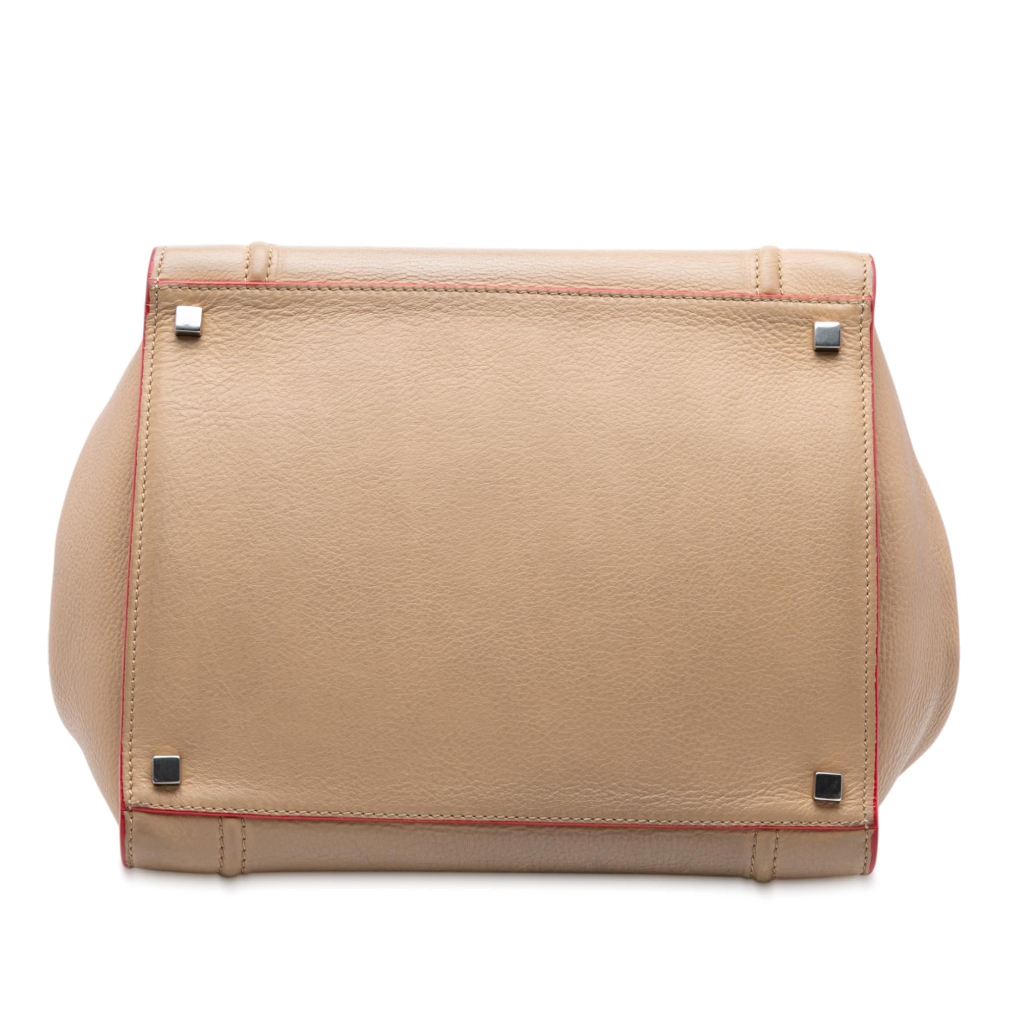 Celine Medium Leather Phantom Luggage Tote
