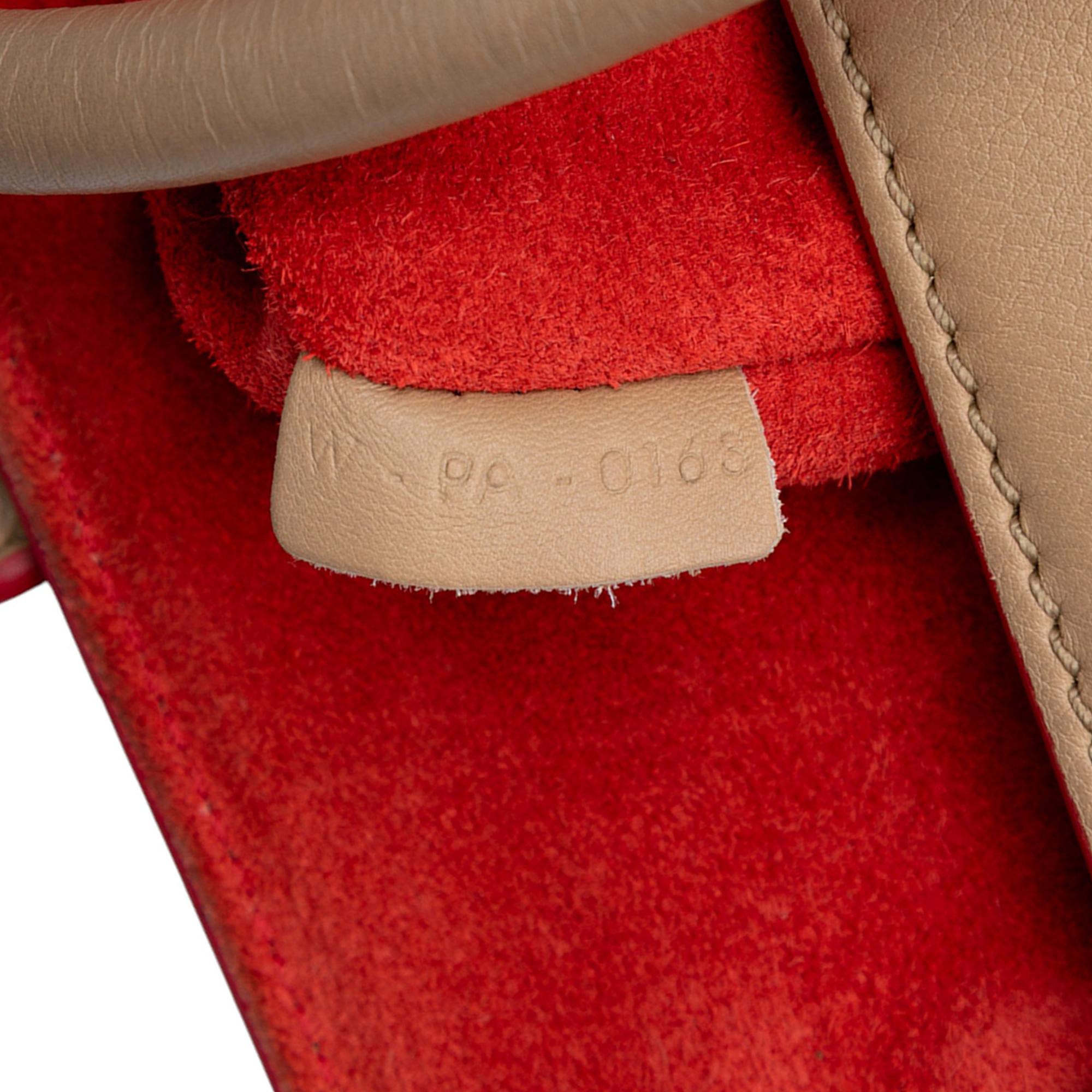 Celine Medium Leather Phantom Luggage Tote