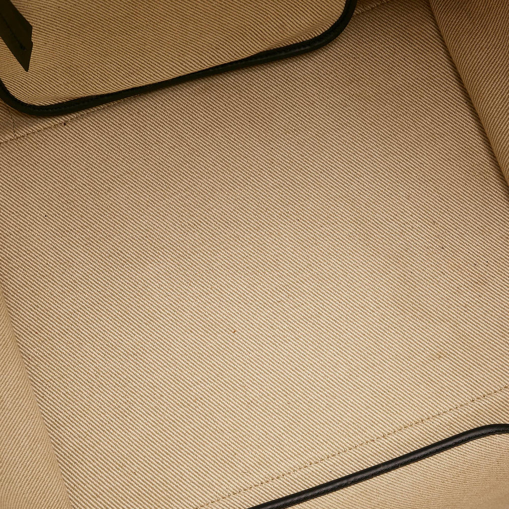 Celine Medium Phantom Luggage Canvas Handbag (SHG-34181)