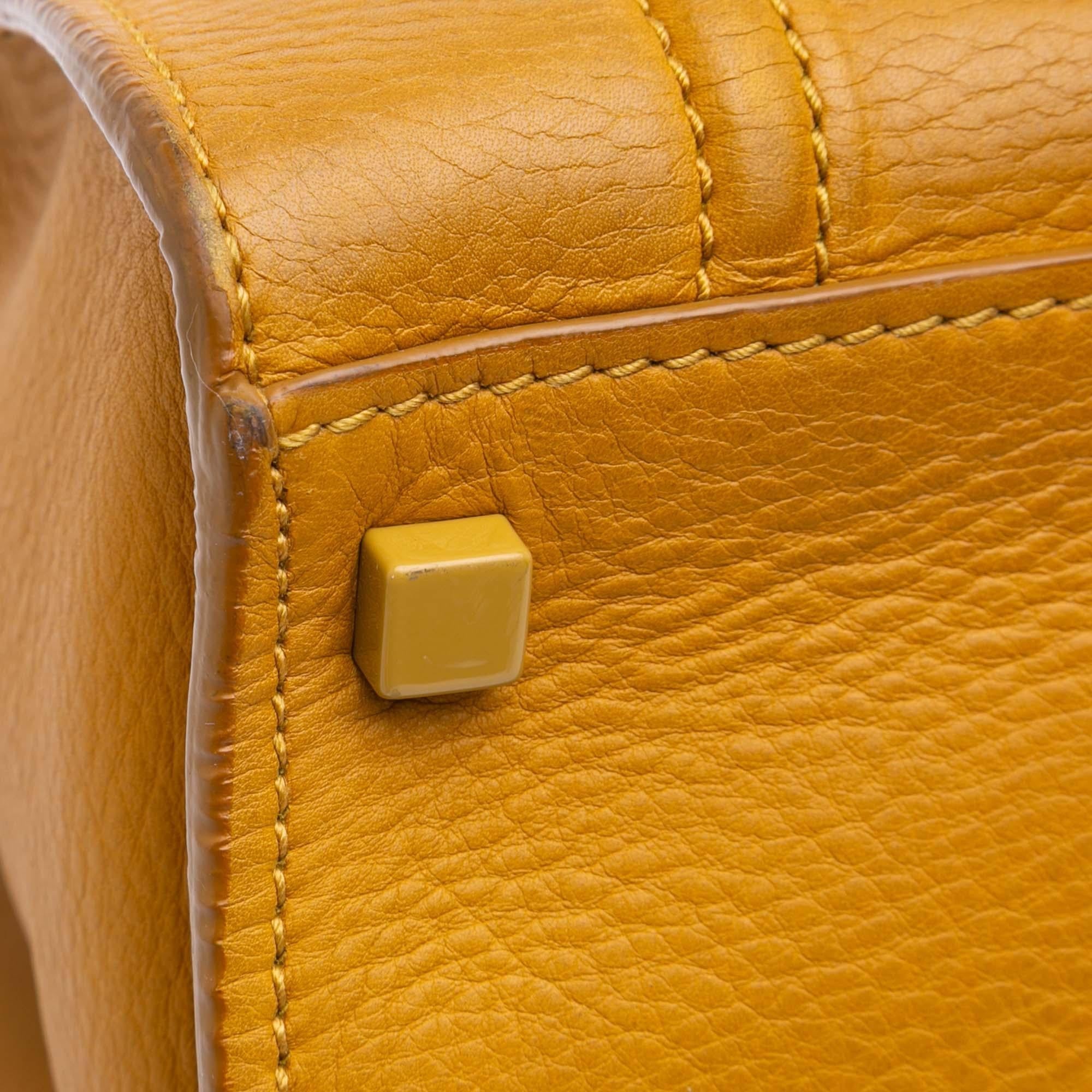 Celine Medium Phantom Luggage Tote