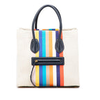 Celine Medium Striped Canvas Phantom Luggage Tote