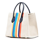 Celine Medium Striped Canvas Phantom Luggage Tote