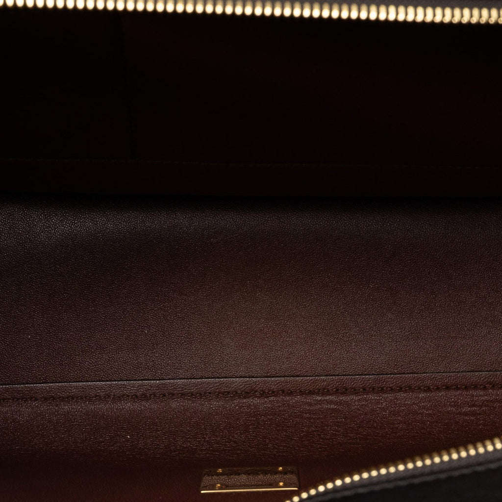Celine Medium Trapeze Tricolor Satchel (SHG-CdZq7W)
