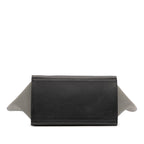 Celine Medium Tricolor Leather Trapeze Satchel