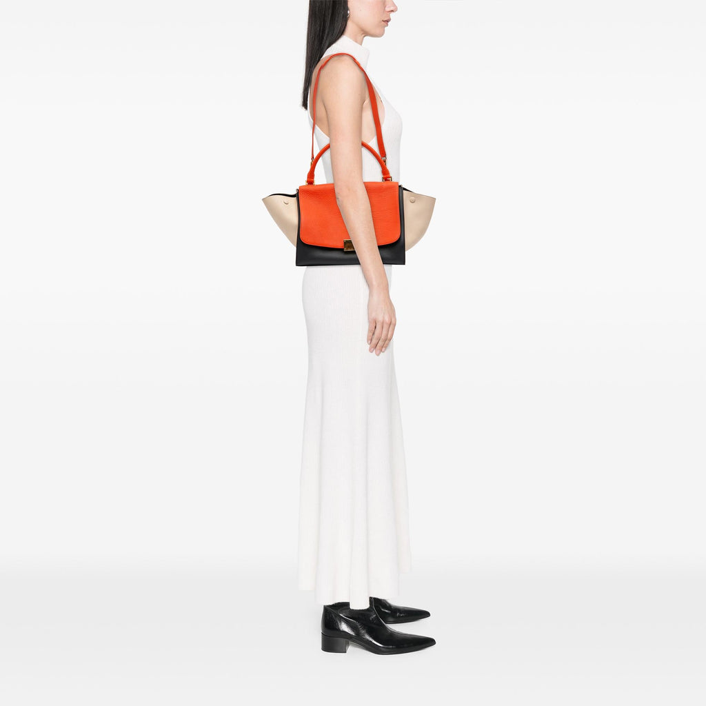 Celine Medium Tricolor Leather Trapeze Satchel