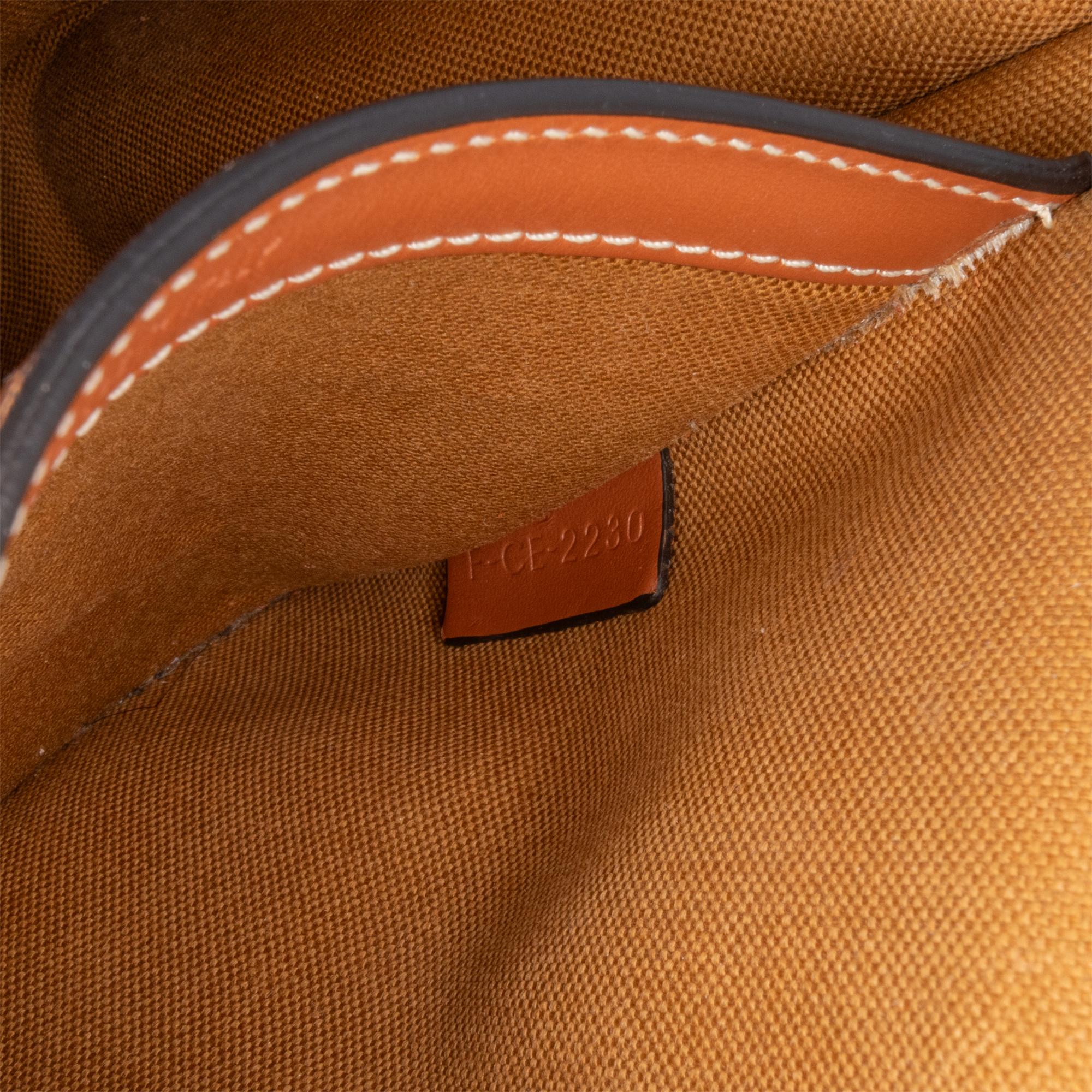 Celine Medium Triomphe Coated Canvas Folco Crossbody