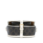 Celine Medium Triomphe Coated Canvas Folco Crossbody