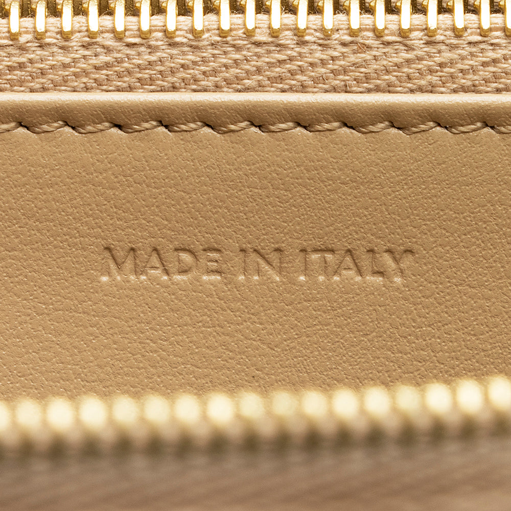 Celine Metallic Leather Zip Continental Wallet (SHF-19483)