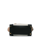 Celine Micro Tricolor Luggage Tote (SHG-VCdAy0)