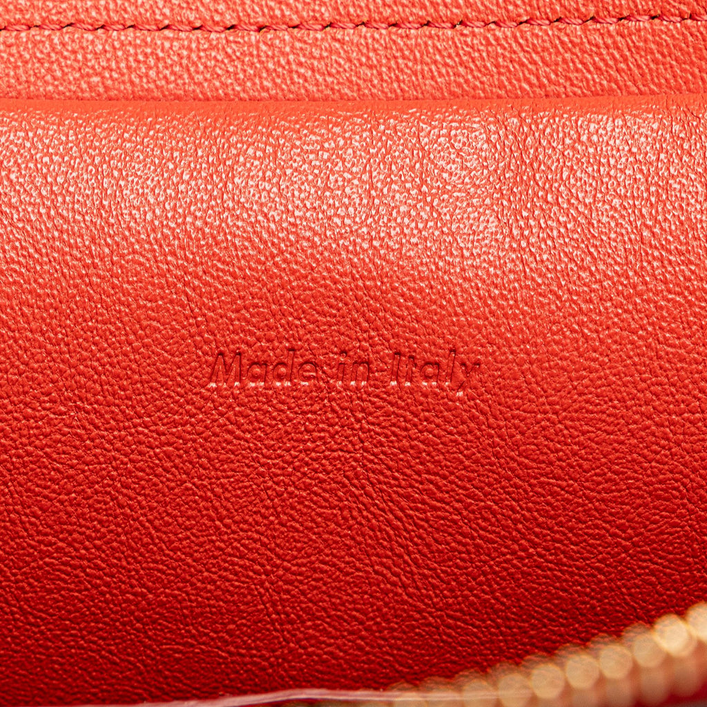 Celine Mini Belt Bag (SHG-cdbSsU)