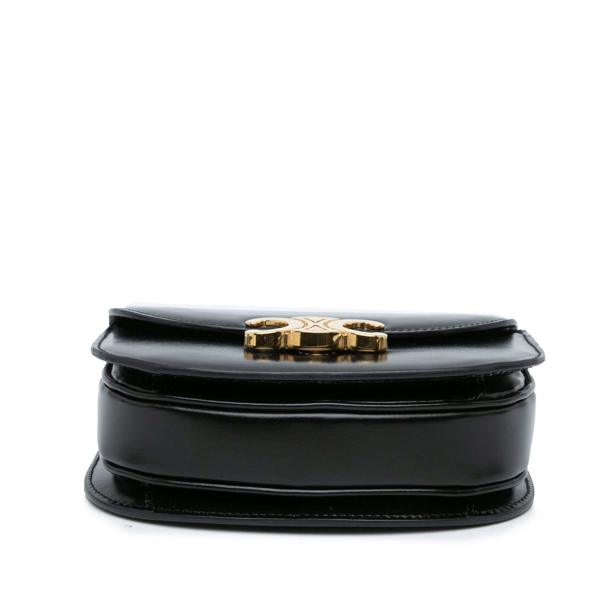 Celine Mini Shiny Calfskin Besace Clea Satchel