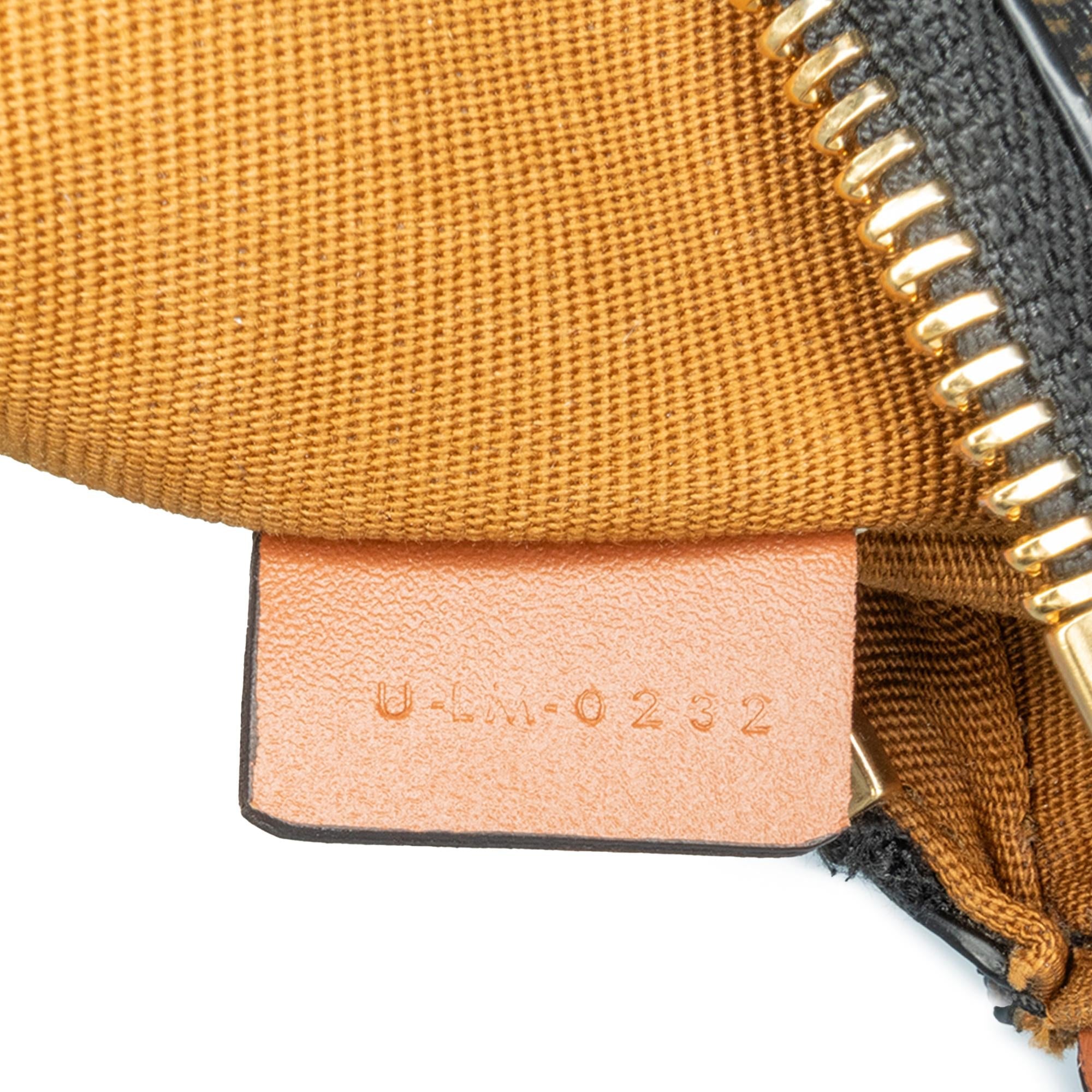 Celine Mini Triomphe Coated Canvas Ava Shoulder Bag