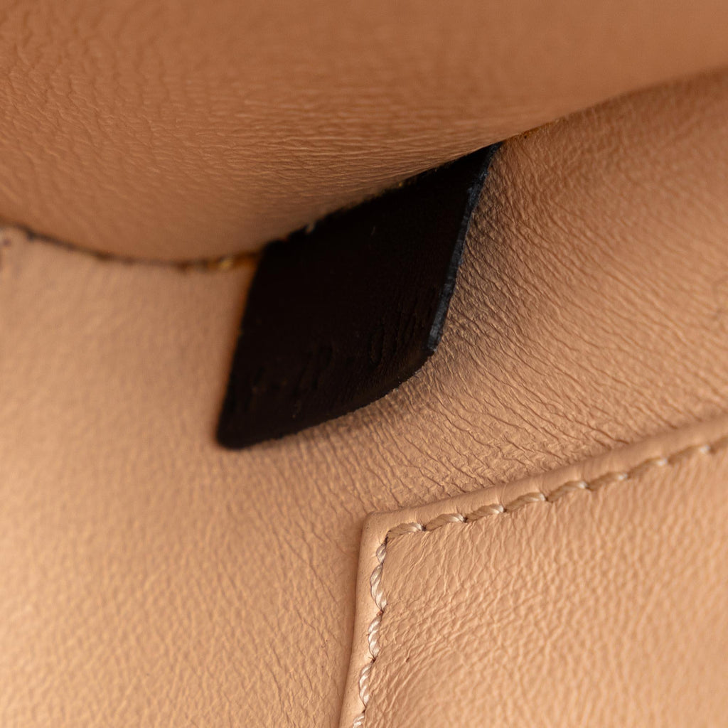 Celine Nano Luggage Tricolor Tote (SHG-xvxH6n)