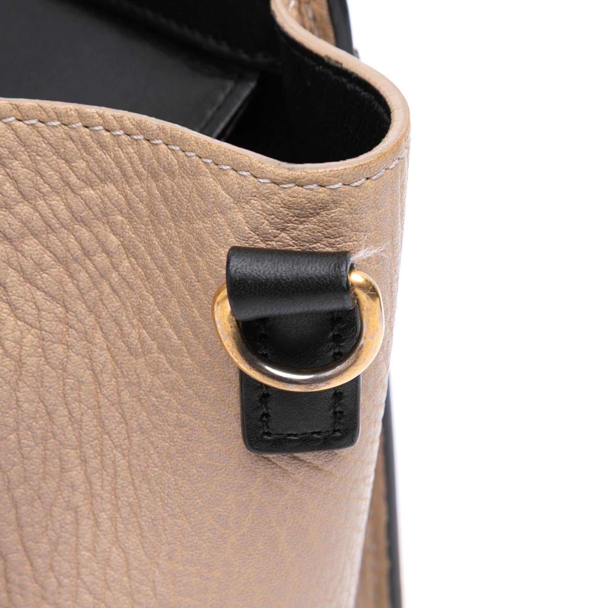 Celine Nano Tricolor Leather Luggage Tote