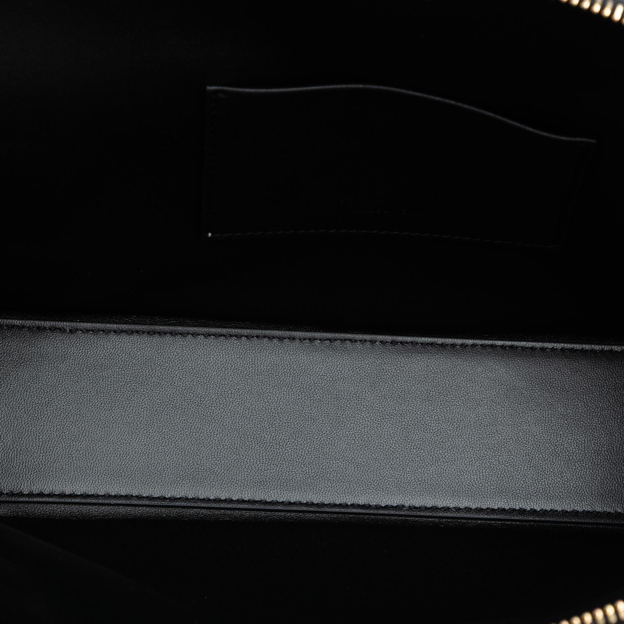 Celine Shiny Calfskin Triomphe Pouch