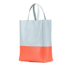 Celine Small Bicolor Leather Vertical Cabas