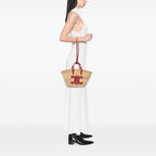 Celine Small Raffia Cuir Triomphe Classic Panier Tote