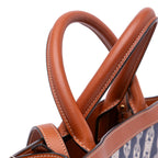 Celine Small Triomphe Canvas Maillon Vertical Cabas Satchel
