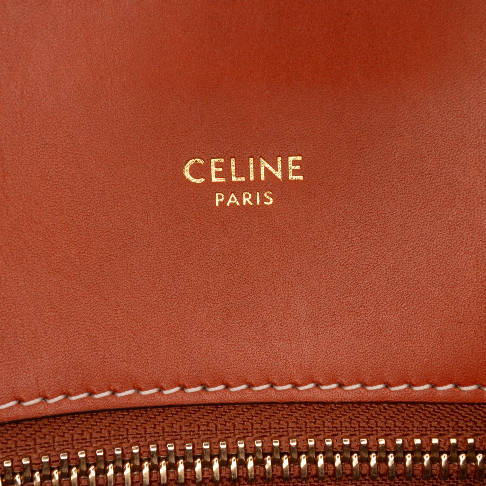 Celine Small Triomphe Canvas Maillon Vertical Cabas Satchel