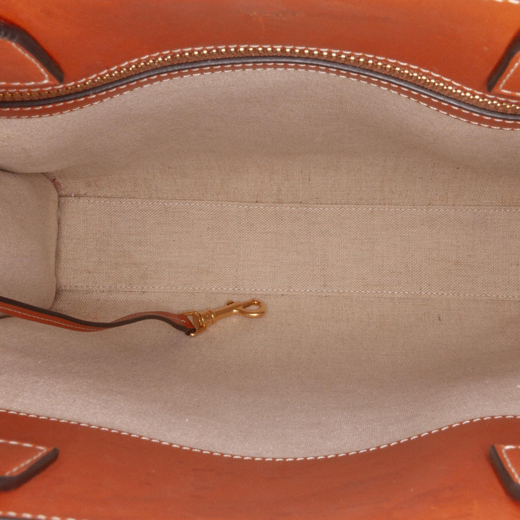 Celine Small Triomphe Canvas Maillon Vertical Cabas Satchel