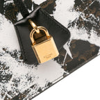 Celine Small Triomphe Coated Canvas Box Cartable Briefcase