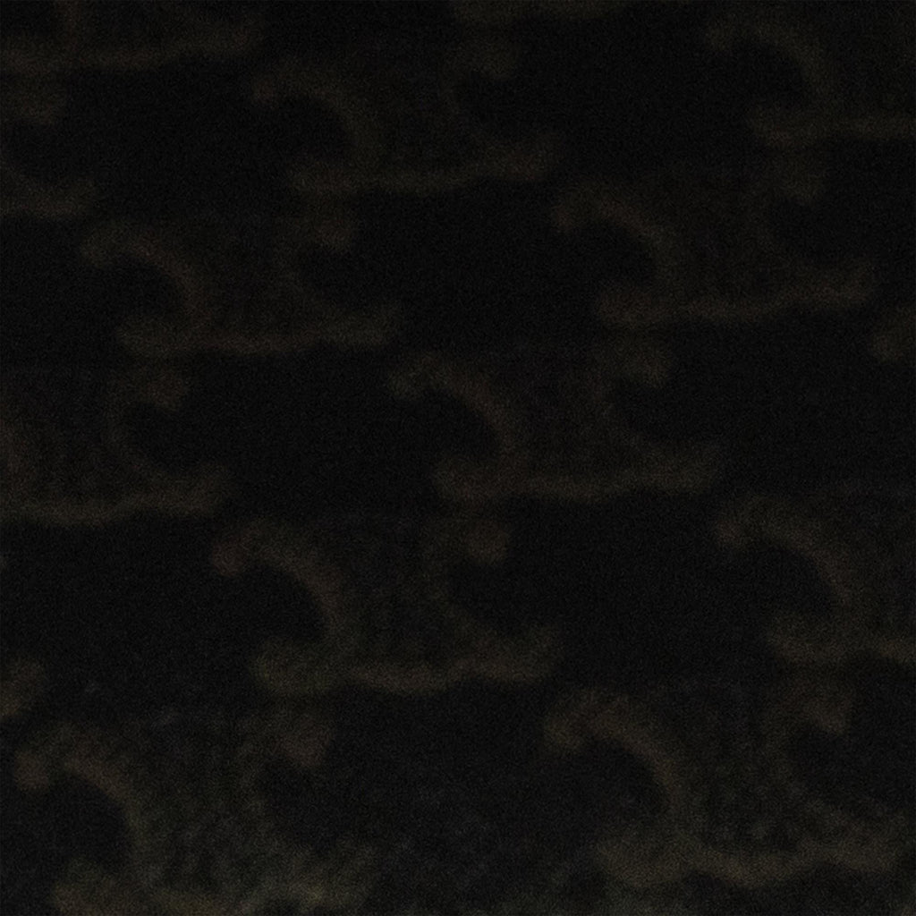 Celine Small Triomphe Coated Canvas Vertical Cabas