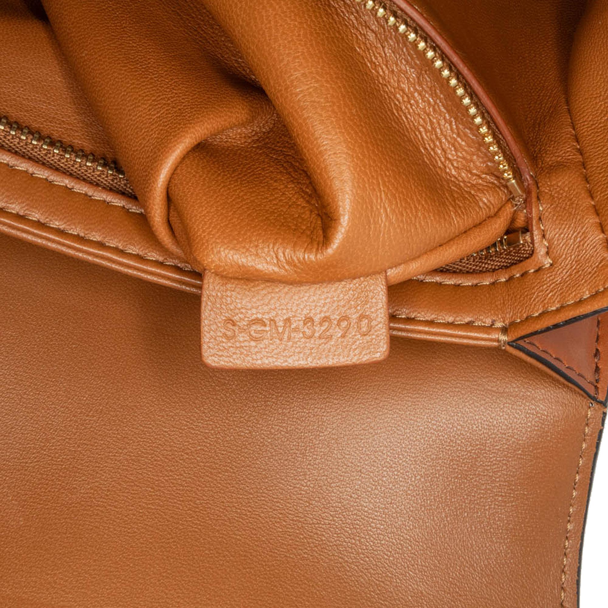 Celine Teen Canvas Triomphe Crossbody