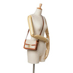Celine Teen Canvas Triomphe Crossbody
