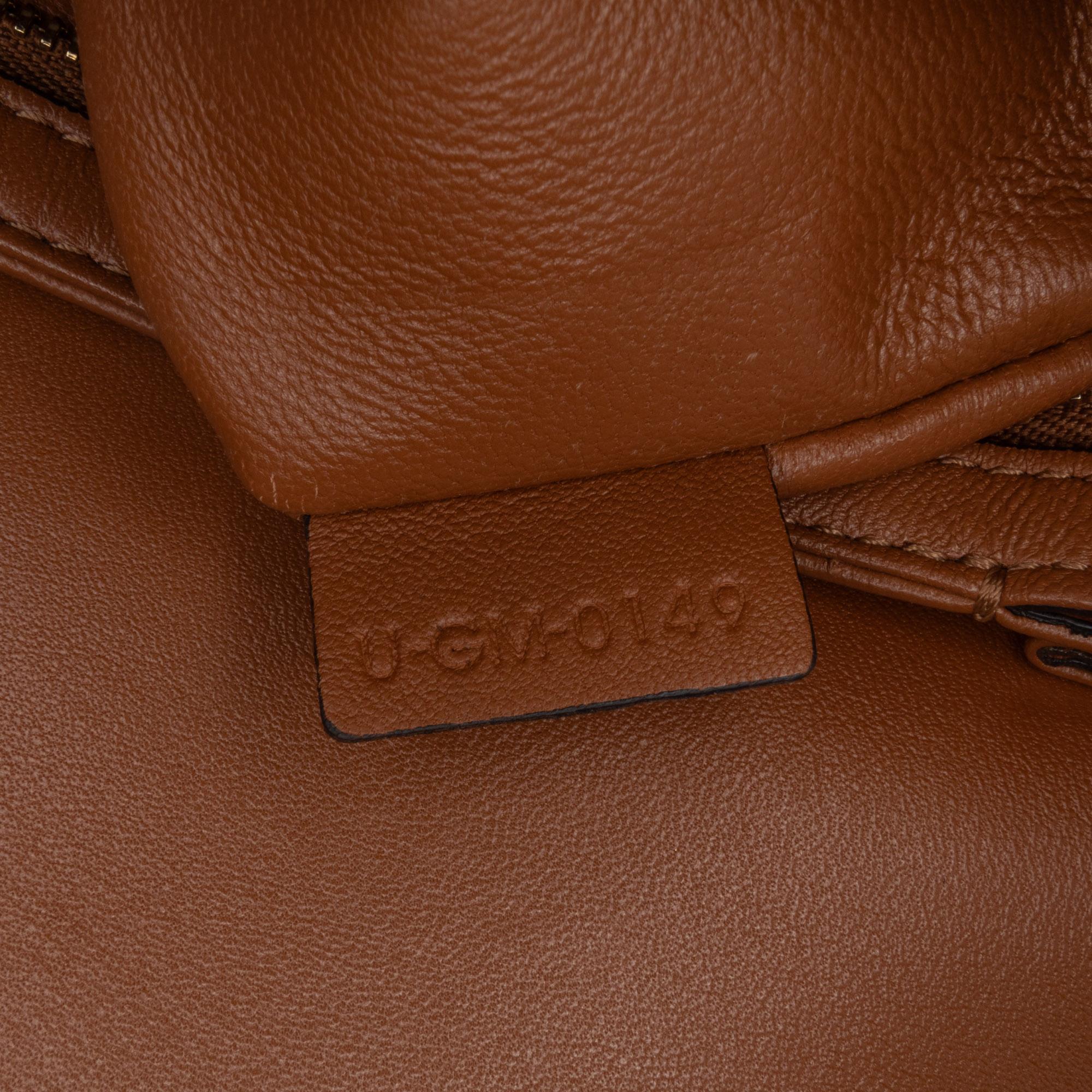 Celine Teen Canvas Triomphe Crossbody