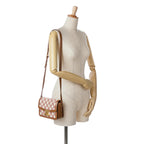 Celine Teen Embroidered Canvas Triomphe Crossbody (SHG-fY2a1z)