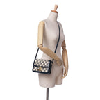 Celine Teen Embroidered Canvas Triomphe Crossbody
