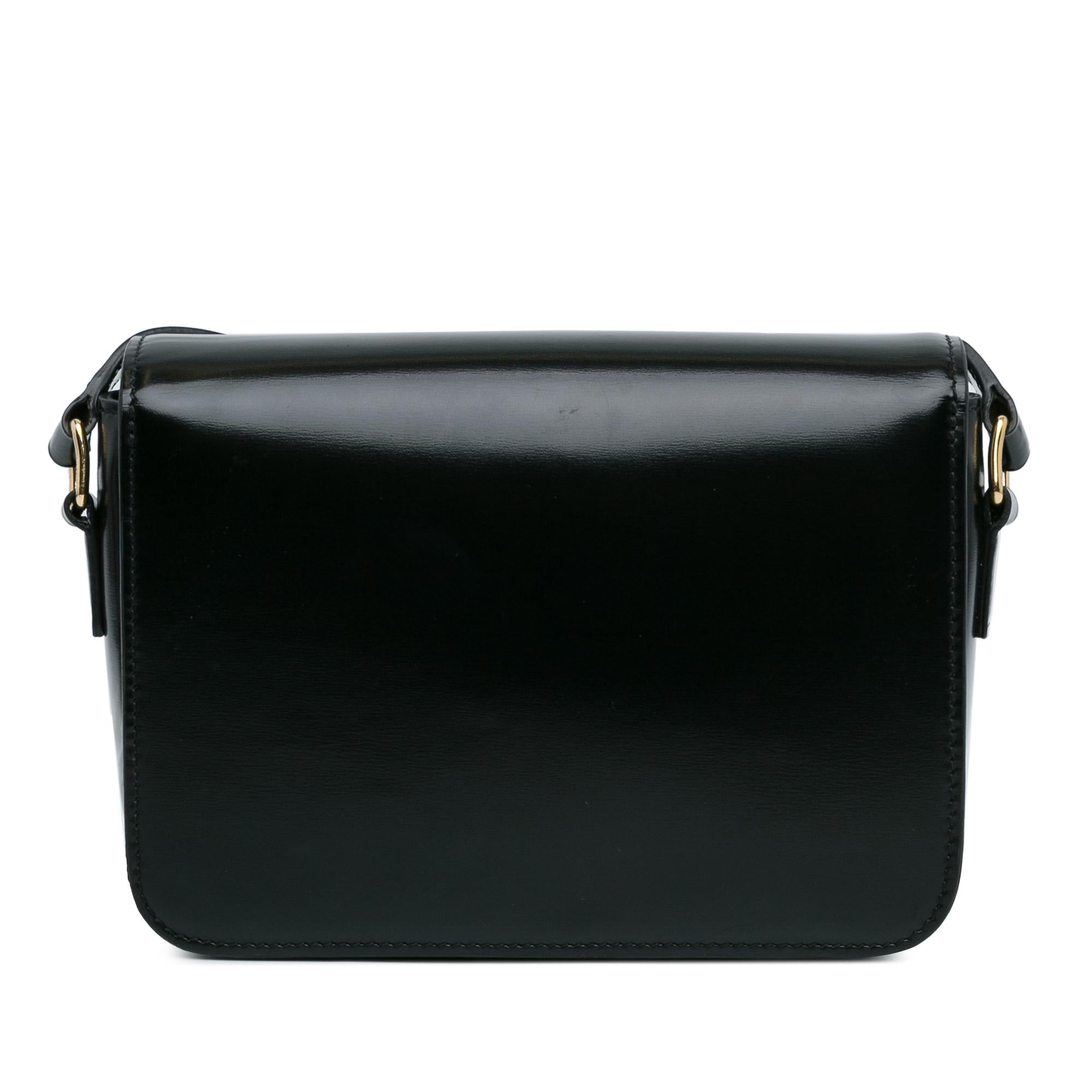 Celine Teen Shiny Calfskin Triomphe Bag (SHG-vb9Nof)