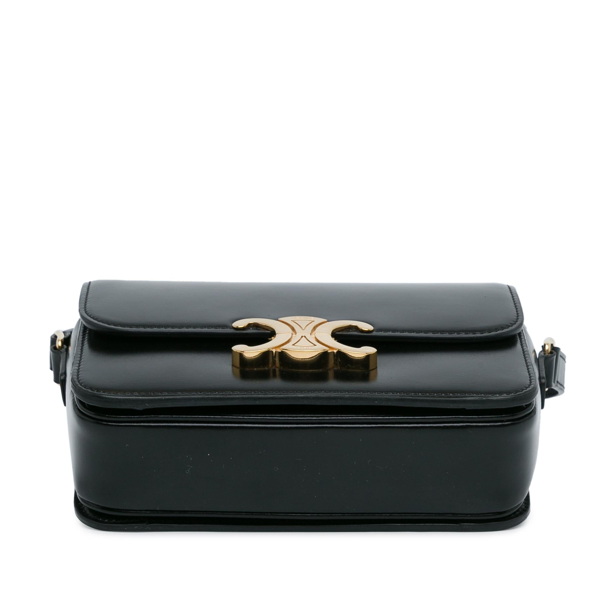 Celine Teen Shiny Calfskin Triomphe Bag (SHG-vb9Nof)