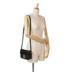 Celine Teen Shiny Calfskin Triomphe Bag (SHG-vb9Nof)