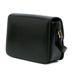 Celine Teen Shiny Calfskin Triomphe Crossbody