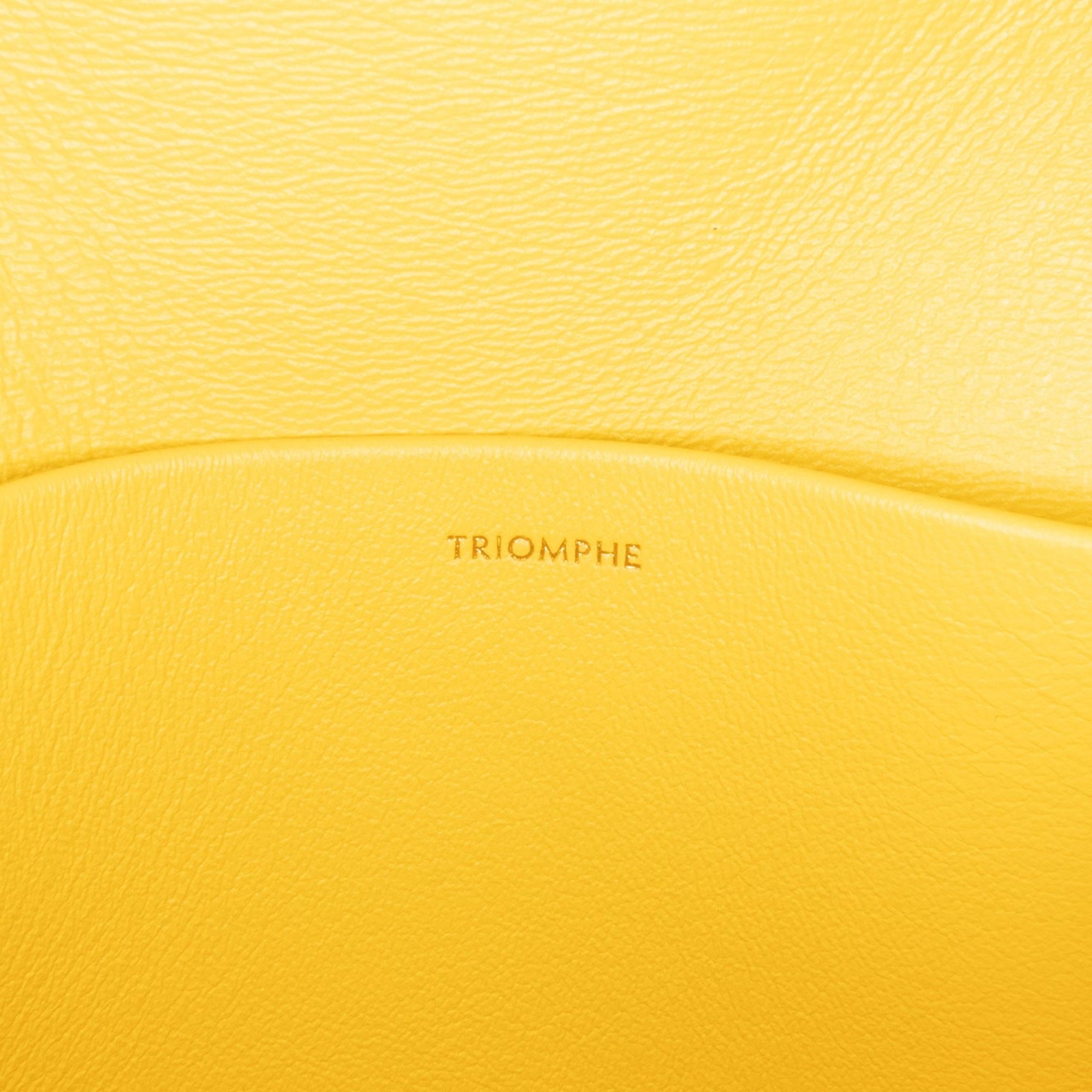 Celine Teen Triomphe Crossbody (SHG-vmVG6P)