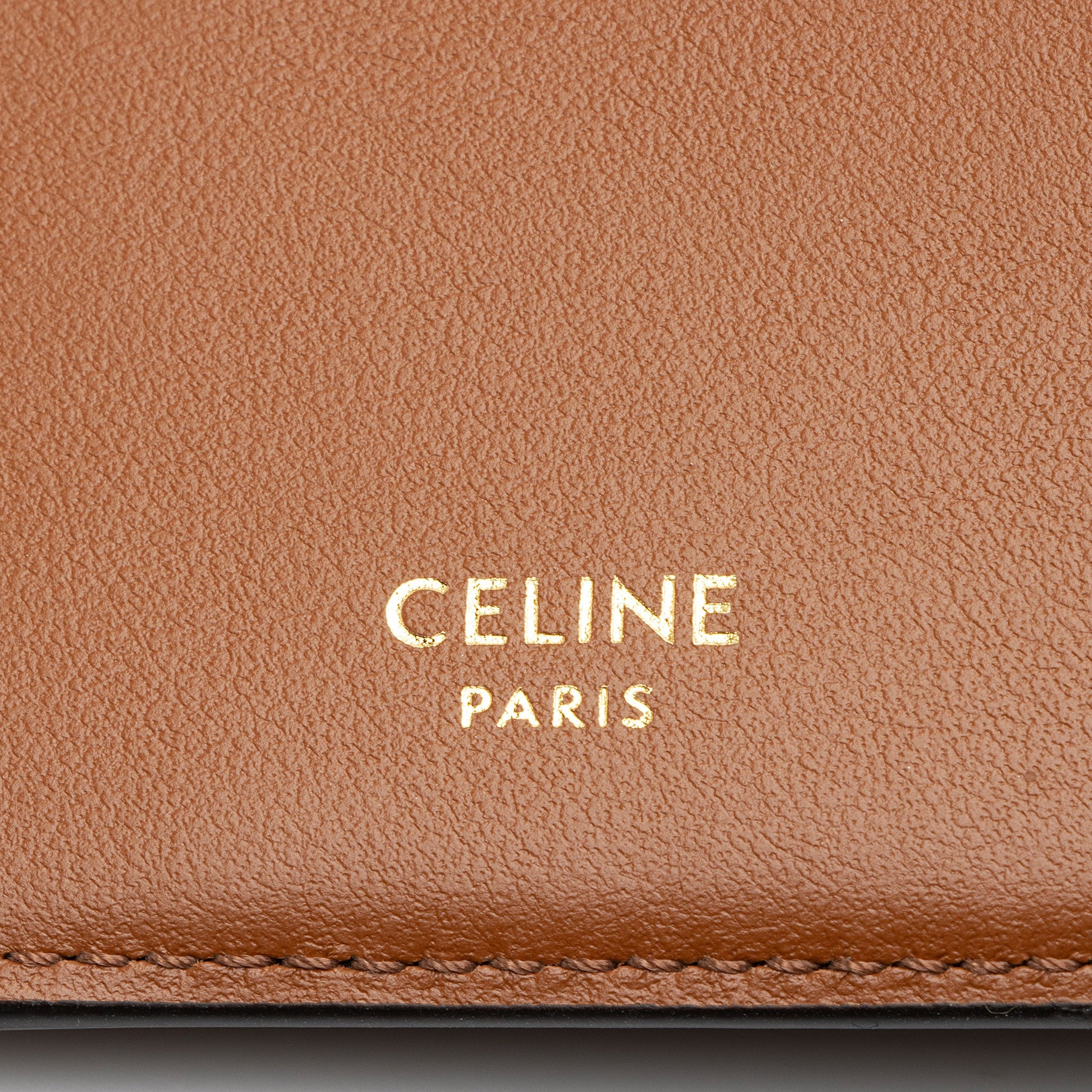 Celine Triomphe Canvas Passport Cover