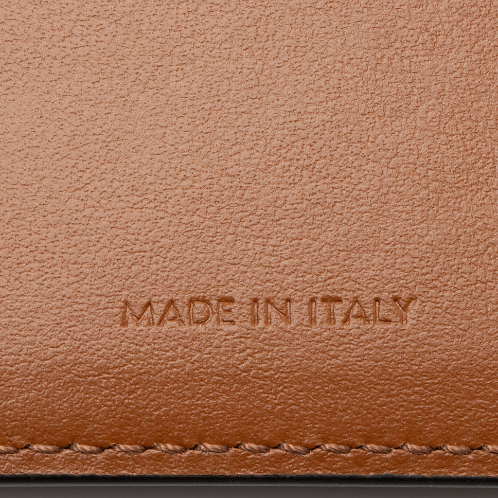 Celine Triomphe Canvas Passport Cover