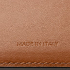 Celine Triomphe Canvas Passport Cover