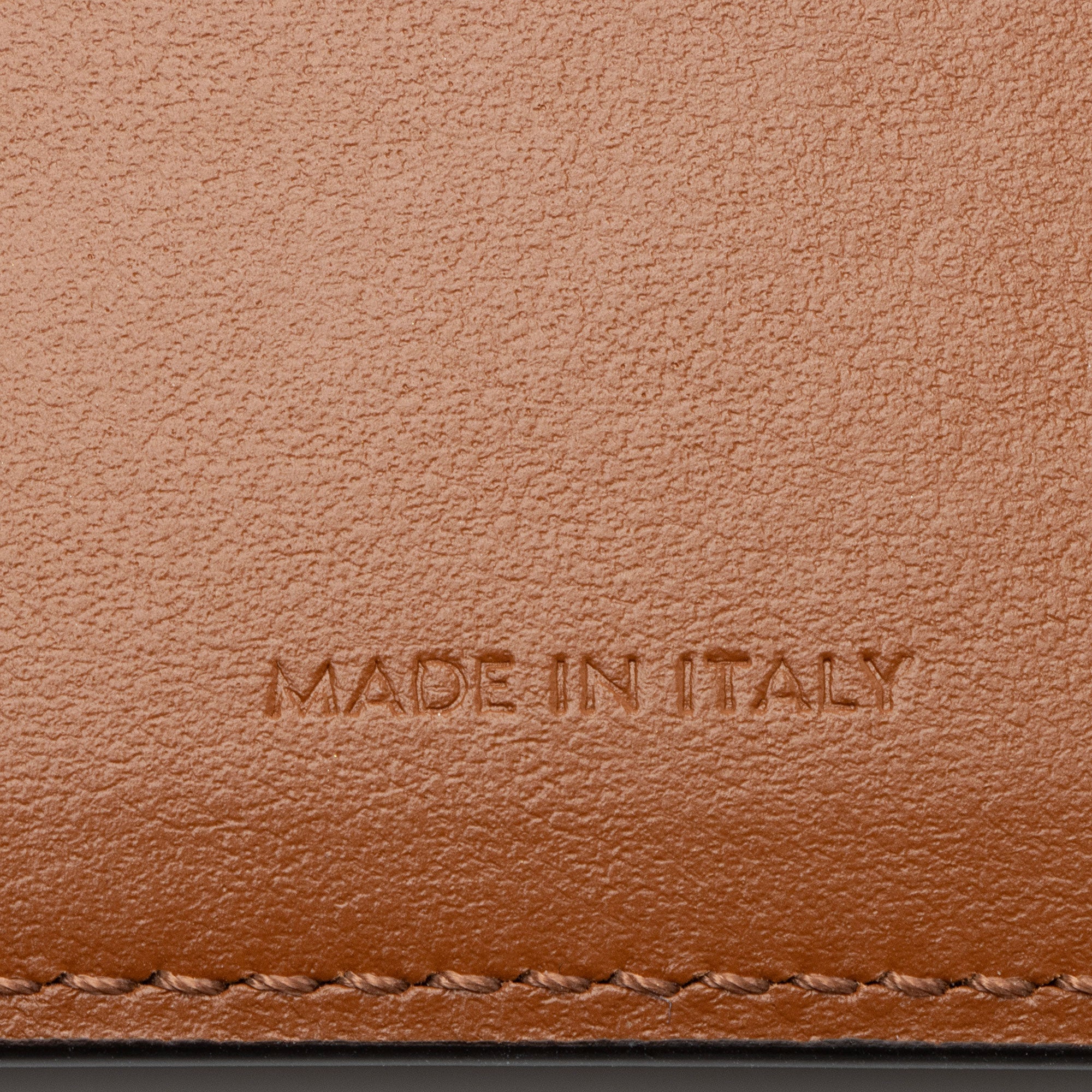 Celine Triomphe Canvas Passport Cover
