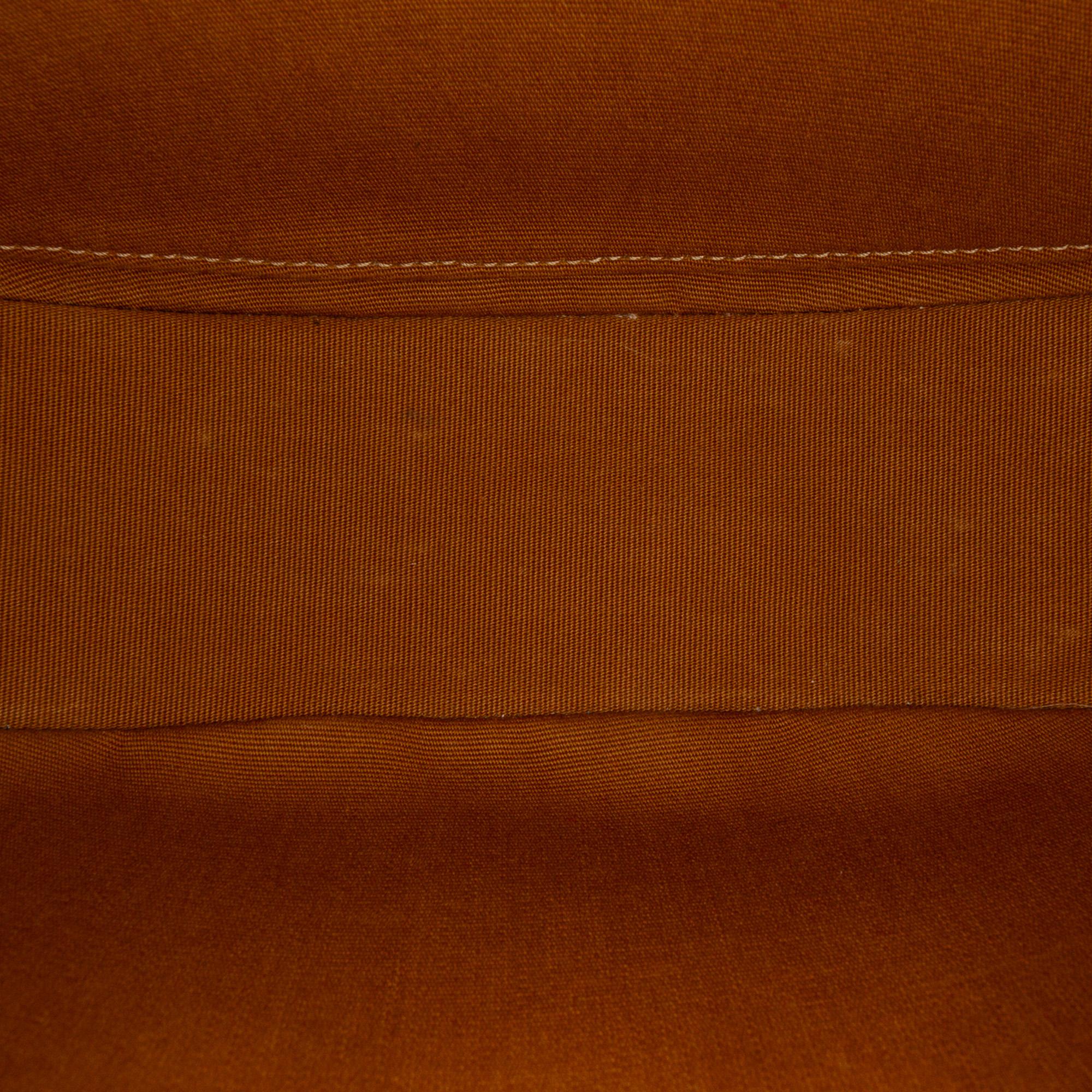 Celine Triomphe Coated Canvas Ava Shoulder Bag